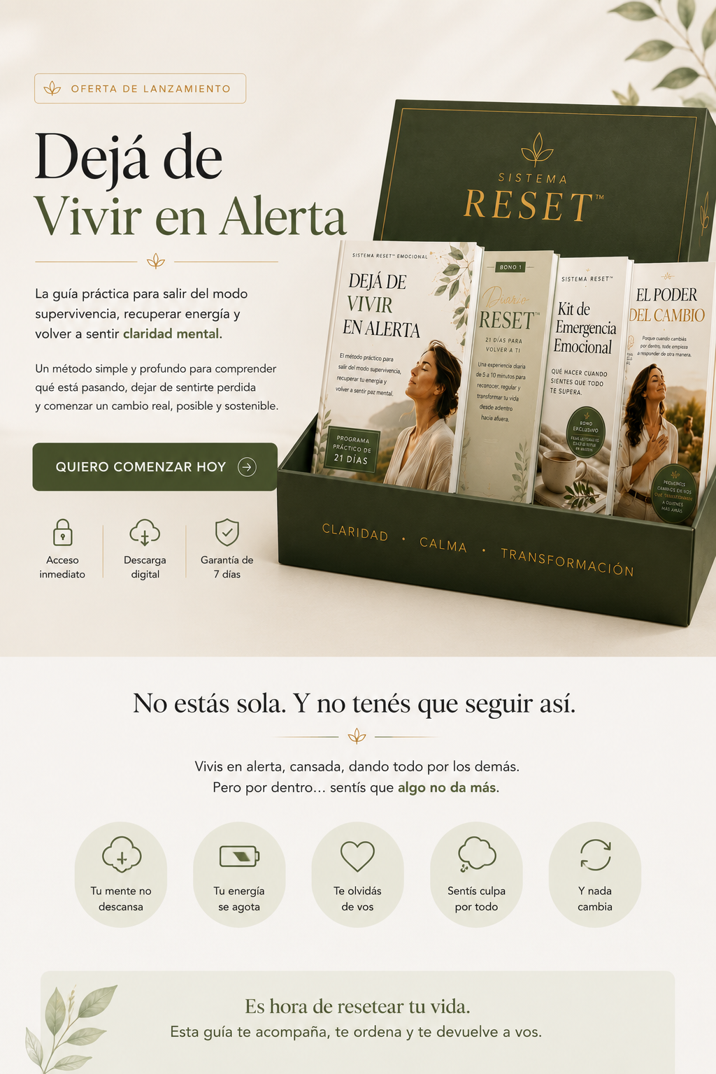 Caja del Sistema RESET